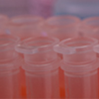 Monarch® Nucleic Acid Purification