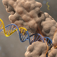 DNA Amplification Technologies