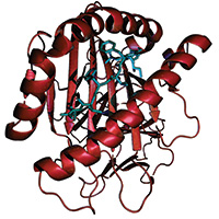 Chromatography Consumables for Proteomics Workflows